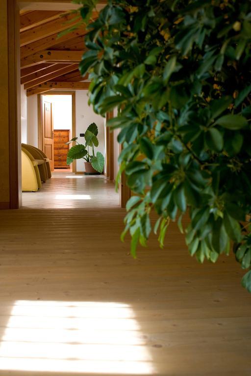 Agriturismo Al Casale Codroipo Exteriér fotografie