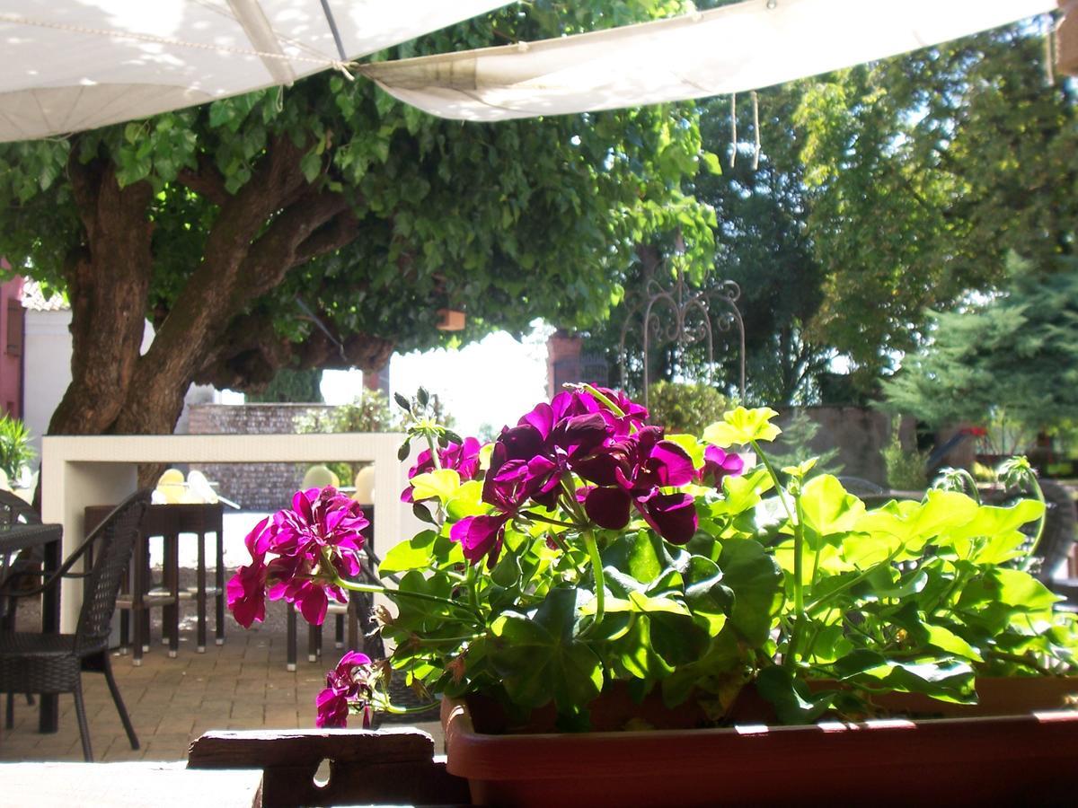 Agriturismo Al Casale Codroipo Exteriér fotografie